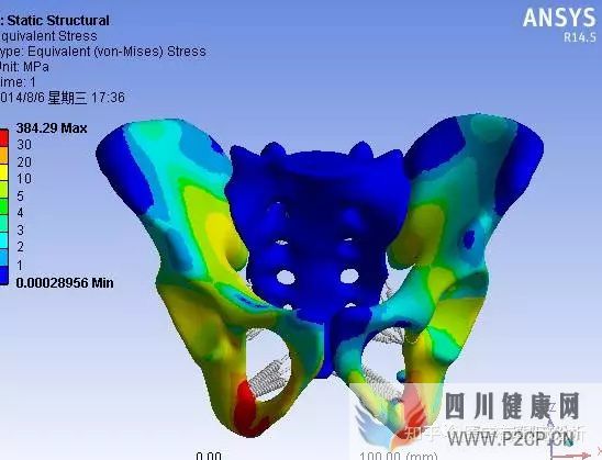 【每日醫(yī)學】骨科基本知識整理(圖1)