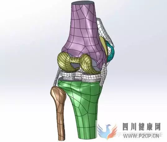 【每日醫(yī)學】骨科基本知識整理(圖5)