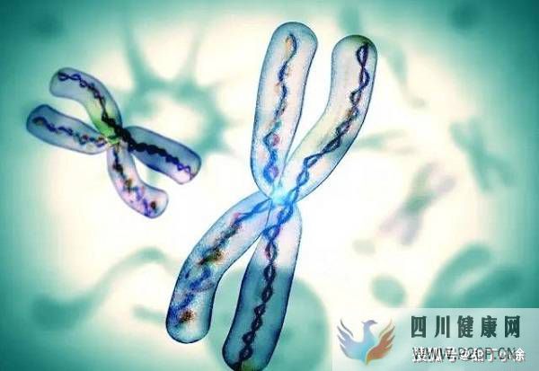 遺傳病能做試管嬰兒嗎(2022年國家免費(fèi)做試管嬰兒)(圖1)