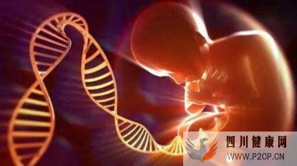 生育報銷大改革!試管嬰兒、凍卵能報醫保嗎?(2022年試管嬰兒費用醫保可以報銷嗎)(圖1) 生育報銷大改革!試管嬰兒、凍卵能報醫保嗎?(2022年試管嬰兒費用醫保可以報銷嗎)(圖1)