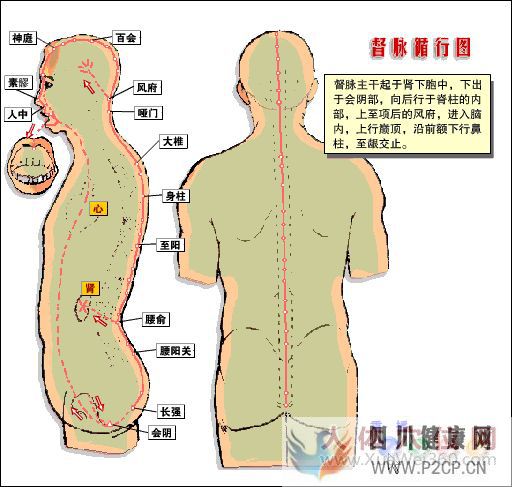 呼吸方法配合真氣運行,打通任督二脈(圖2) 呼吸方法配合真氣運行,打通任督二脈(圖2)