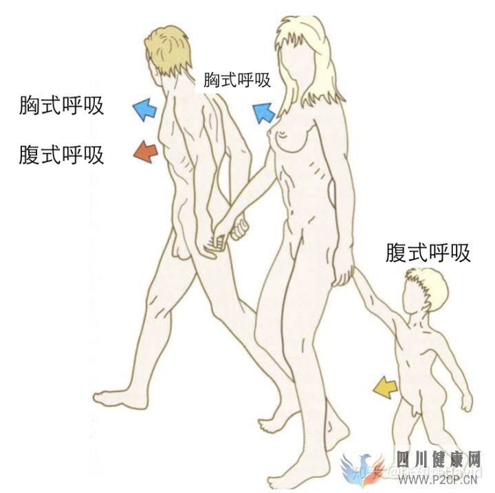 每天呼吸兩萬次,卻沒人懂的正確呼吸方式(圖12) 每天呼吸兩萬次,卻沒人懂的正確呼吸方式(圖12)