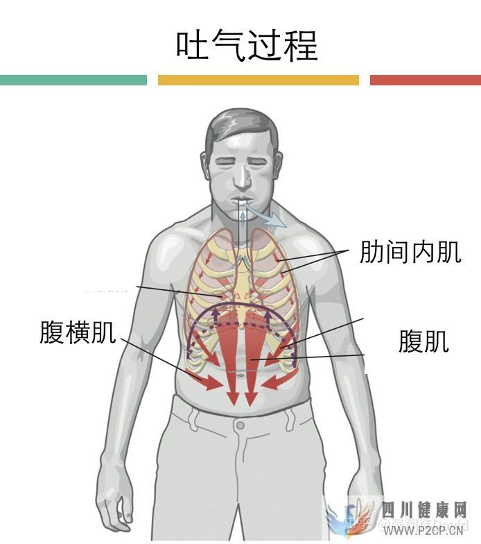每天呼吸兩萬次,卻沒人懂的正確呼吸方式(圖18) 每天呼吸兩萬次,卻沒人懂的正確呼吸方式(圖18)