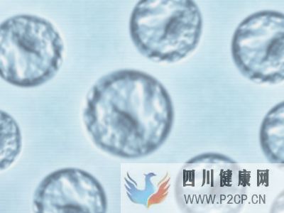 天津優貝健康告訴您高齡做試管嬰兒成功概率多少(38歲做試管嬰兒成功率有多少)(圖1) 天津優貝健康告訴您高齡做試管嬰兒成功概率多少(38歲做試管嬰兒成功率有多少)(圖1)