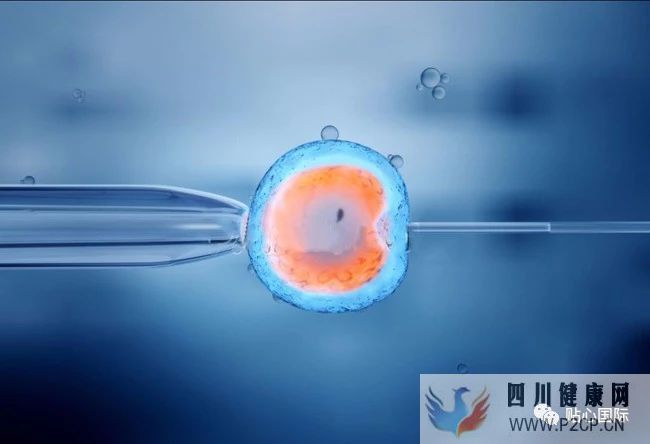 做試管嬰兒,我的成功率是多少?(38歲做試管嬰兒成功率有多少)(圖1) 做試管嬰兒,我的成功率是多少?(38歲做試管嬰兒成功率有多少)(圖1)