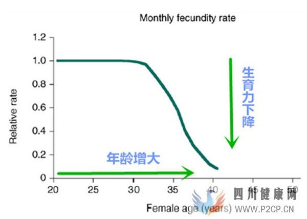 高齡女性對試管嬰兒成功率有哪些影響如何提高女性卵子質量(38歲做試管嬰兒成功率有多少)(圖1) 高齡女性對試管嬰兒成功率有哪些影響如何提高女性卵子質量(38歲做試管嬰兒成功率有多少)(圖1)