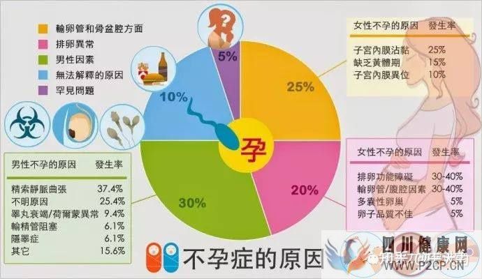 試管嬰兒的一個(gè)基本流程和周期時(shí)間(二代試管嬰兒需要多長(zhǎng)時(shí)間)(圖5) 試管嬰兒的一個(gè)基本流程和周期時(shí)間(二代試管嬰兒需要多長(zhǎng)時(shí)間)(圖5)