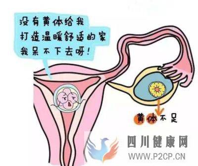 為什么試管嬰兒需要黃體支持，需要支持多長時間呢？(二代試管嬰兒需要多長時間)(圖2)
