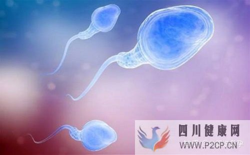 試管嬰兒男性取精的全部過程,或許跟你想的不一樣!(男性試管嬰兒怎么做的全過程)(圖6) 試管嬰兒男性取精的全部過程,或許跟你想的不一樣!(男性試管嬰兒怎么做的全過程)(圖6)