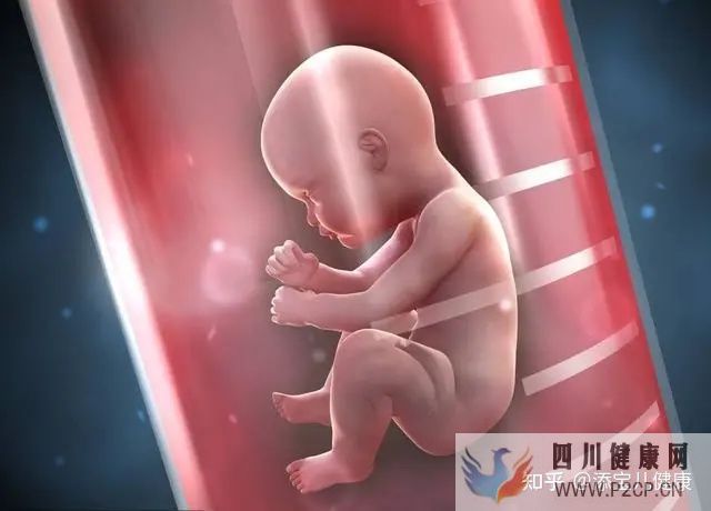 輸卵管不孕做試管嬰兒手術過程中,常見的六個問題(女方輸卵管堵塞做試管嬰兒需要多長時間)(圖5)
