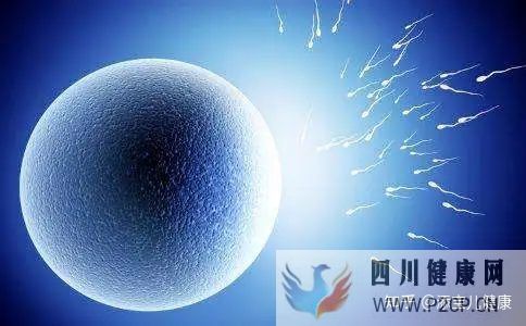 輸卵管不孕做試管嬰兒手術過程中,常見的六個問題(女方輸卵管堵塞做試管嬰兒需要多長時間)(圖3)