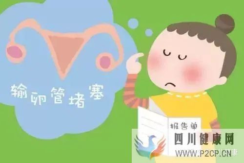 輸卵管不孕做試管嬰兒手術過程中,常見的六個問題(女方輸卵管堵塞做試管嬰兒需要多長時間)(圖4)