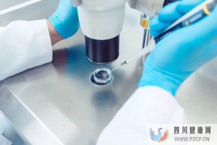 試管嬰兒花費高,醫(yī)?？梢詧箐N嗎買哪種試管嬰兒...(請問做試管嬰兒的費用可以報銷嗎)(圖4)