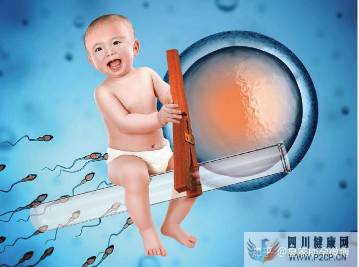 試管嬰兒90%不是自己的這才是事實的真相(試管嬰兒90%不是自己的)(圖2) 試管嬰兒90%不是自己的這才是事實的真相(試管嬰兒90%不是自己的)(圖2)