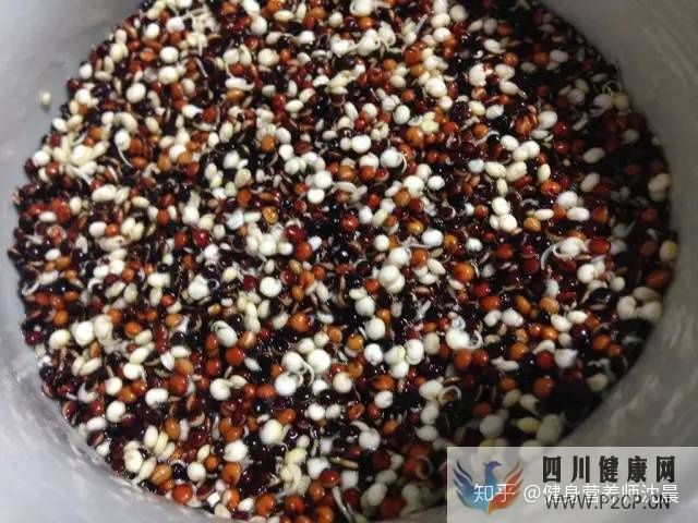十種適合減肥吃的食物,送給減肥不吃主食的你!(圖3) 十種適合減肥吃的食物,送給減肥不吃主食的你!(圖3)