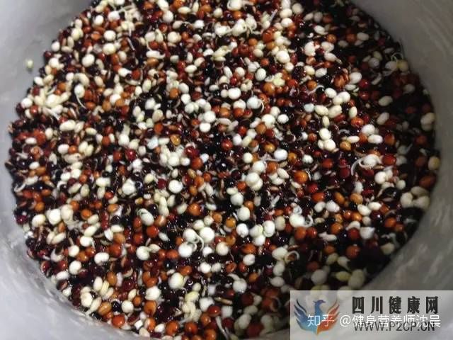 十種適合減肥吃的食物,送給減肥不吃主食的你!(圖4) 十種適合減肥吃的食物,送給減肥不吃主食的你!(圖4)
