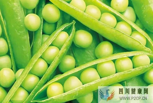 十種適合減肥吃的食物,送給減肥不吃主食的你!(圖16) 十種適合減肥吃的食物,送給減肥不吃主食的你!(圖16)
