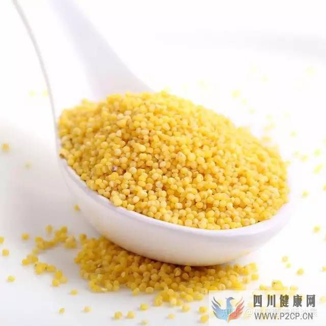 十種適合減肥吃的食物,送給減肥不吃主食的你!(圖20) 十種適合減肥吃的食物,送給減肥不吃主食的你!(圖20)