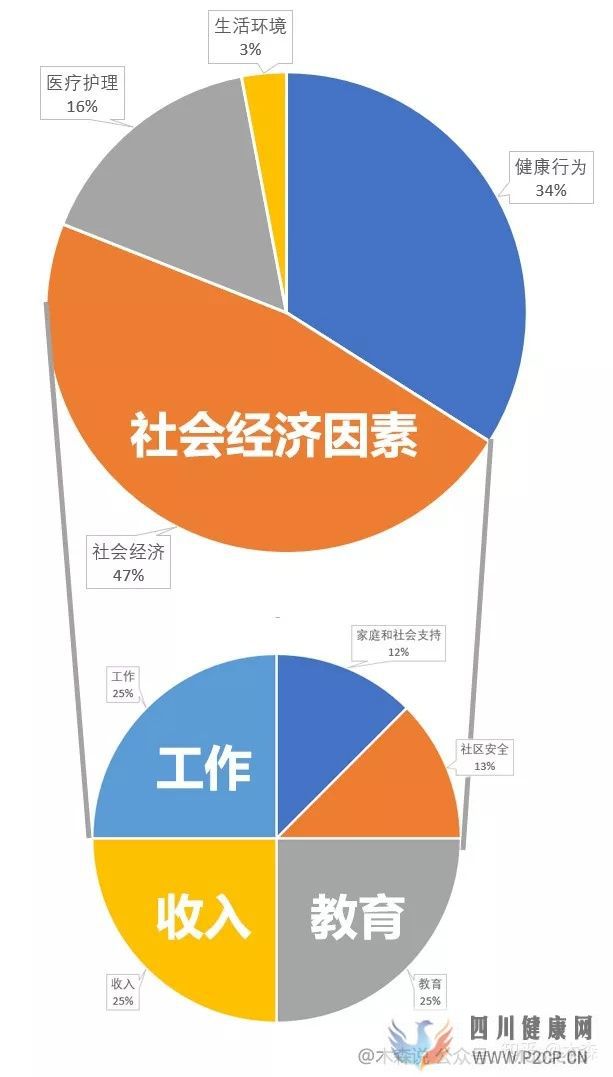 決定健康的3個(gè)最重要因素(圖2) 決定健康的3個(gè)最重要因素(圖2)