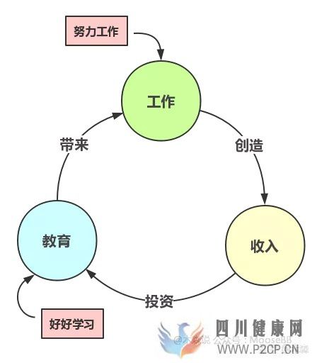 決定健康的3個(gè)最重要因素(圖11) 決定健康的3個(gè)最重要因素(圖11)