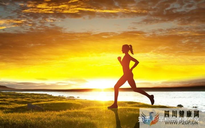 健康第一責(zé)任人自己才是健康的主人,請(qǐng)為健康負(fù)責(zé)(圖15) 健康第一責(zé)任人自己才是健康的主人,請(qǐng)為健康負(fù)責(zé)(圖15)