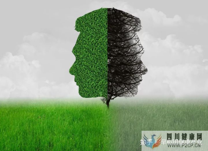 健康第一責(zé)任人自己才是健康的主人,請(qǐng)為健康負(fù)責(zé)(圖20) 健康第一責(zé)任人自己才是健康的主人,請(qǐng)為健康負(fù)責(zé)(圖20)