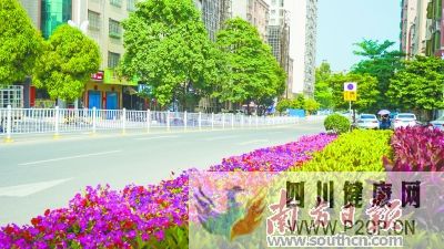 城鄉(xiāng)衛(wèi)生大升級(jí)幸福跟著健康走(圖1) 城鄉(xiāng)衛(wèi)生大升級(jí)幸福跟著健康走(圖1)