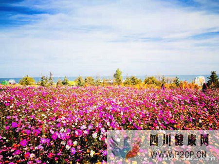 關愛自己的身體健康,因為沒有健康就沒有一切(圖1) 關愛自己的身體健康,因為沒有健康就沒有一切(圖1)