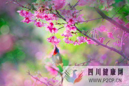 關愛自己的身體健康,因為沒有健康就沒有一切(圖7) 關愛自己的身體健康,因為沒有健康就沒有一切(圖7)