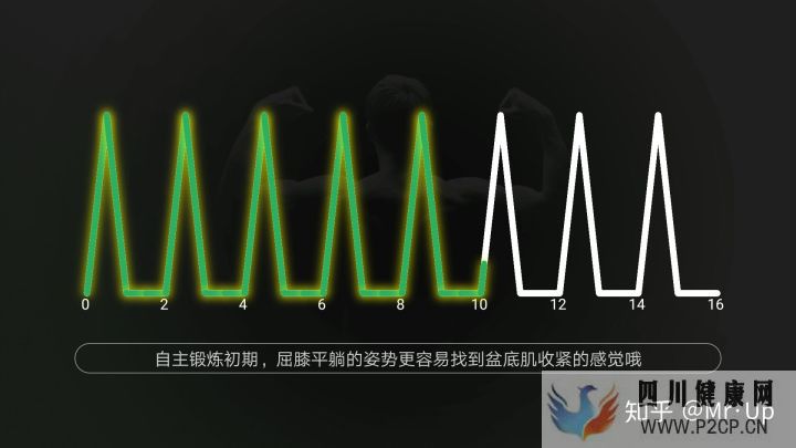 男性PC肌鍛煉,凱格爾運動男性版詳解(圖7) 男性PC肌鍛煉,凱格爾運動男性版詳解(圖7)