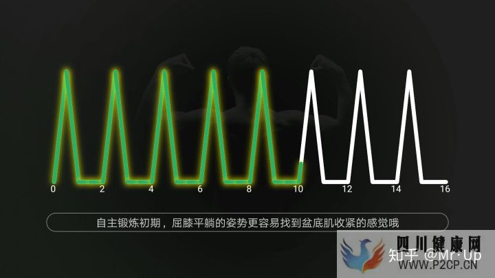 男性PC肌鍛煉,凱格爾運動男性版詳解(圖6) 男性PC肌鍛煉,凱格爾運動男性版詳解(圖6)