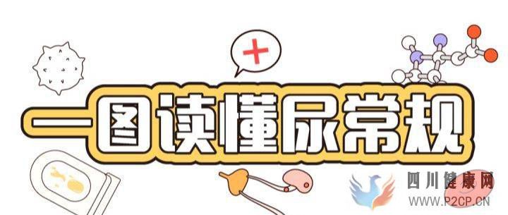 易加醫帶你漲知識：尿常規結果居然能看出這么多問題！(圖1)