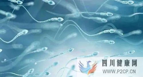 男人內分泌異常有什么危害?(圖1) 男人內分泌異常有什么危害?(圖1)