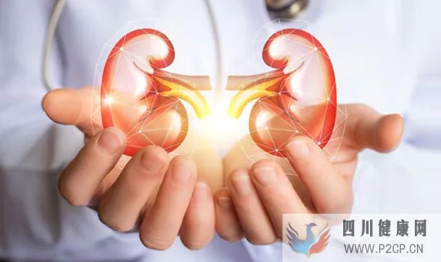 糖尿病腎病的治療方法(圖1) 糖尿病腎病的治療方法(圖1)