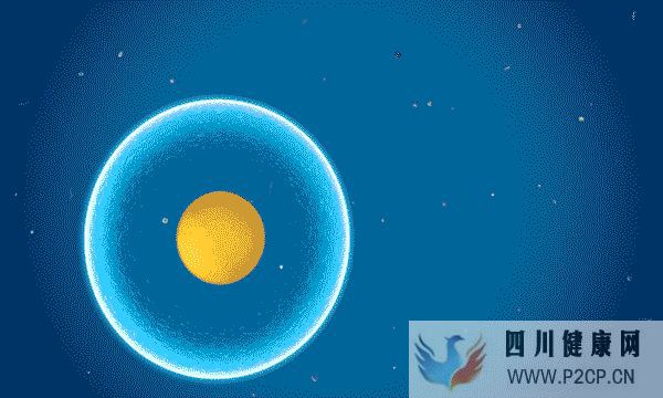 干細(xì)胞在人體到底發(fā)揮著什么作用(干細(xì)胞的效果)(圖2) 干細(xì)胞在人體到底發(fā)揮著什么作用(干細(xì)胞的效果)(圖2)