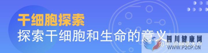 千萬別被忽悠了!說說令人眼花繚亂的干細胞美容(干細胞的效果立竿見影嗎)(圖2) 千萬別被忽悠了!說說令人眼花繚亂的干細胞美容(干細胞的效果立竿見影嗎)(圖2)