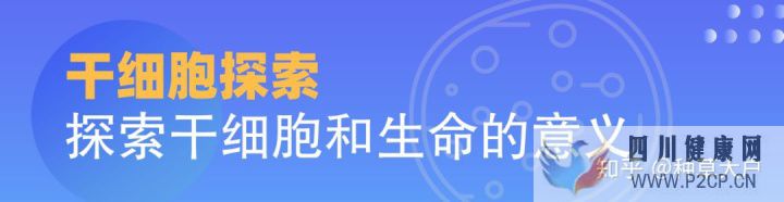 千萬別被忽悠了!說說令人眼花繚亂的干細胞美容(干細胞的效果立竿見影嗎)(圖1) 千萬別被忽悠了!說說令人眼花繚亂的干細胞美容(干細胞的效果立竿見影嗎)(圖1)