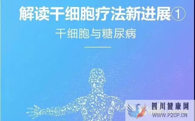 新華網：圖解干細胞療法治療糖尿病的作用原理！(干細胞的治療作用)(圖2)