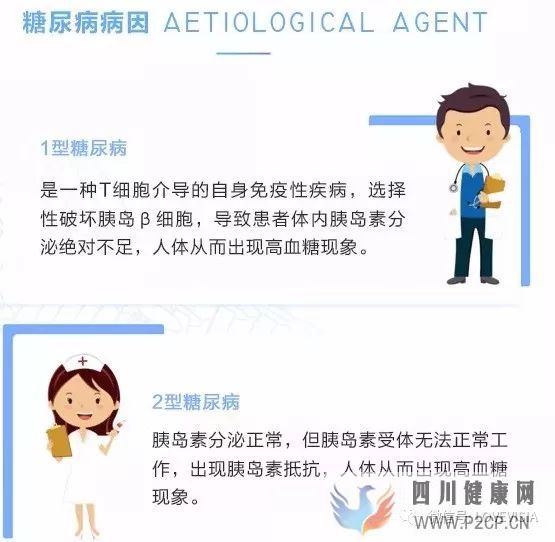 新華網：圖解干細胞療法治療糖尿病的作用原理！(干細胞的治療作用)(圖3)