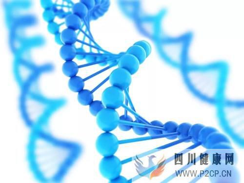 前沿:干細(xì)胞移植四種作用機(jī)制,為治療2型糖尿病帶來(lái)新途徑(干細(xì)胞的治療作用)(圖1) 前沿:干細(xì)胞移植四種作用機(jī)制,為治療2型糖尿病帶來(lái)新途徑(干細(xì)胞的治療作用)(圖1)