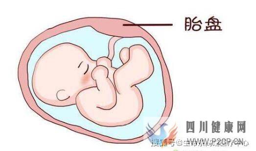 生命系：了解胎盤的主要功能是哪些呢？(干細胞的主要功能和作用)(圖1)