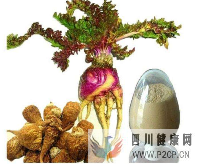 瑪卡的功效和作用，長(zhǎng)期吃瑪卡對(duì)身體有什么副作用？(干細(xì)胞的主要功效和副作用)(圖2)