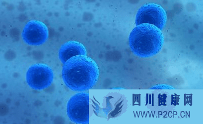 美容干細胞有副作用嗎(干細胞的主要功效和副作用)(圖1)