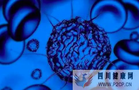 什么是干細胞這里全面解釋(干細胞的指的是什么)(圖3) 什么是干細胞這里全面解釋(干細胞的指的是什么)(圖3)