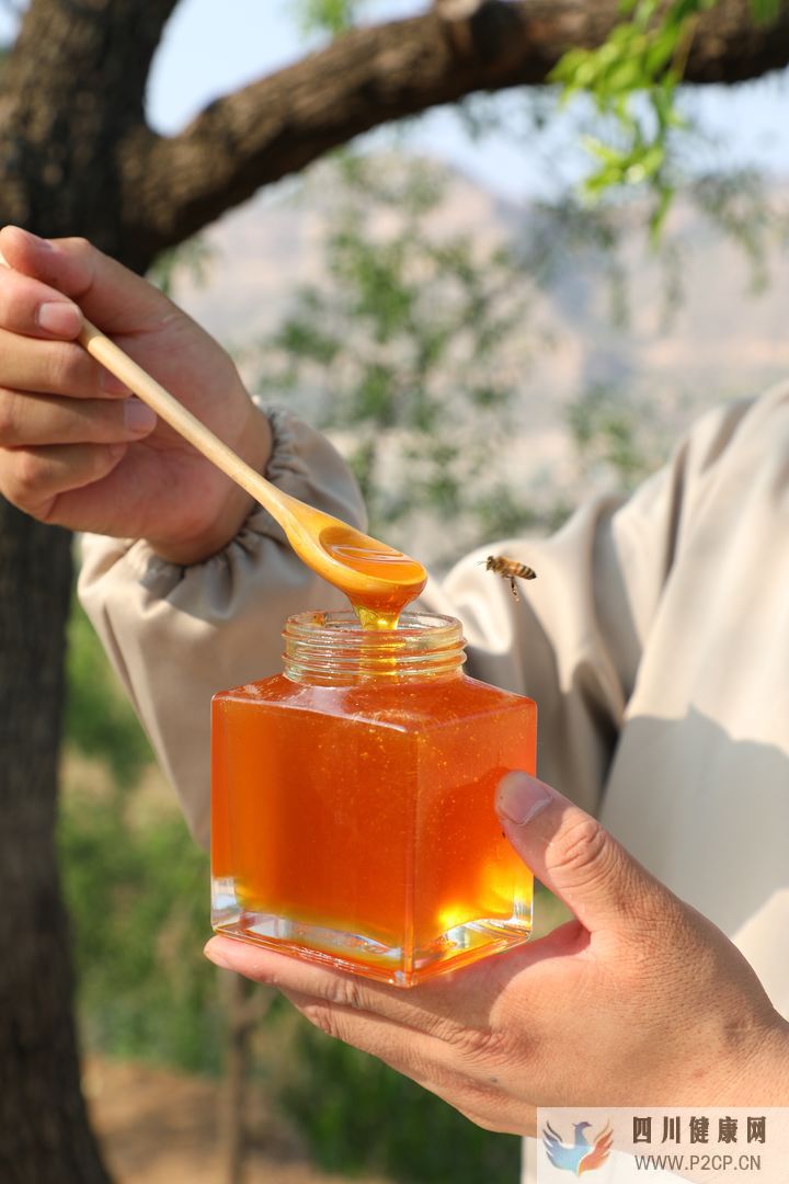 棗花蜜有什么作用與功效蜂蜜的作用與功效(干細胞的作用與功效)(圖3)