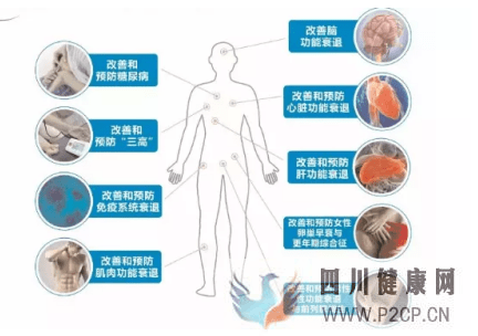 分析：干細胞回輸有什么好處,干細胞回輸后生活飲食注意事項~(干細胞的作用與功效和注意事項)(圖1)