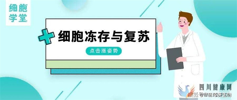 細胞學堂細胞凍存與復蘇的技術原理和操作步驟(干細胞凍存價格)(圖1)