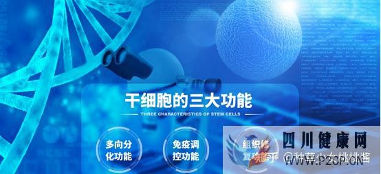 權威解析打干細胞美容的好處和壞處、打了干細胞臉...(干細胞對面部的重要作用)(圖2)