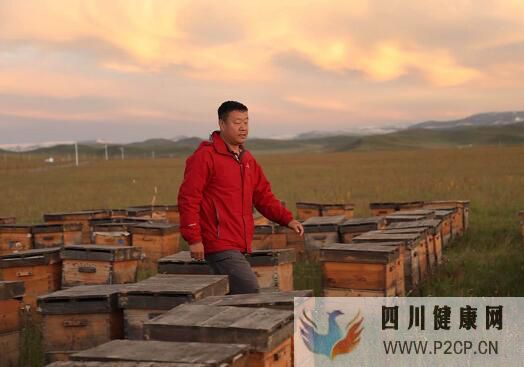 冬天女人喝什么蜂蜜好女人喝蜂蜜水的好處和壞處(干細(xì)胞對人體的好處和壞處)(圖3)