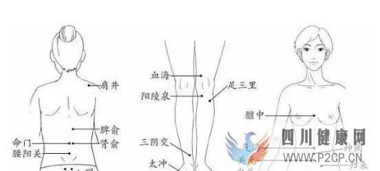 女人拔罐好嗎?簡述女性拔罐的好處和壞處。(干細胞對人體的好處和壞處)(圖1) 女人拔罐好嗎?簡述女性拔罐的好處和壞處。(干細胞對人體的好處和壞處)(圖1)